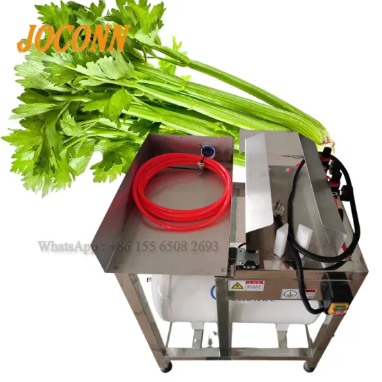 Garlic Sprouts and Green Onion Peeling Machine: Root Cutting and Washing Solution