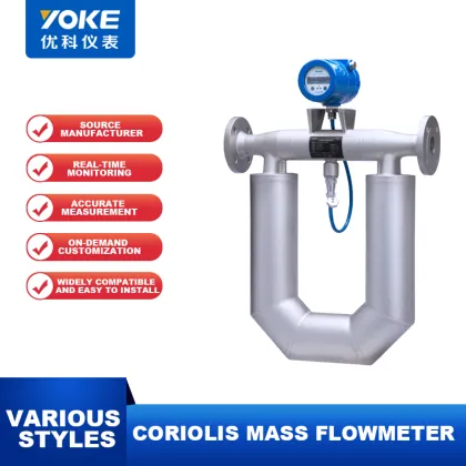 Natural Gas Mass Flowmeter - Air Mass Flowmeter Coriolis DN1-DN200
