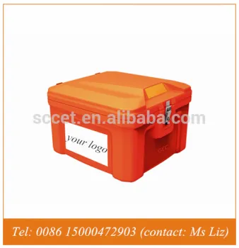 60L hot food transport box for fast food (pizzas) to fix on scooter                        
                                                                                Supplier's Choice