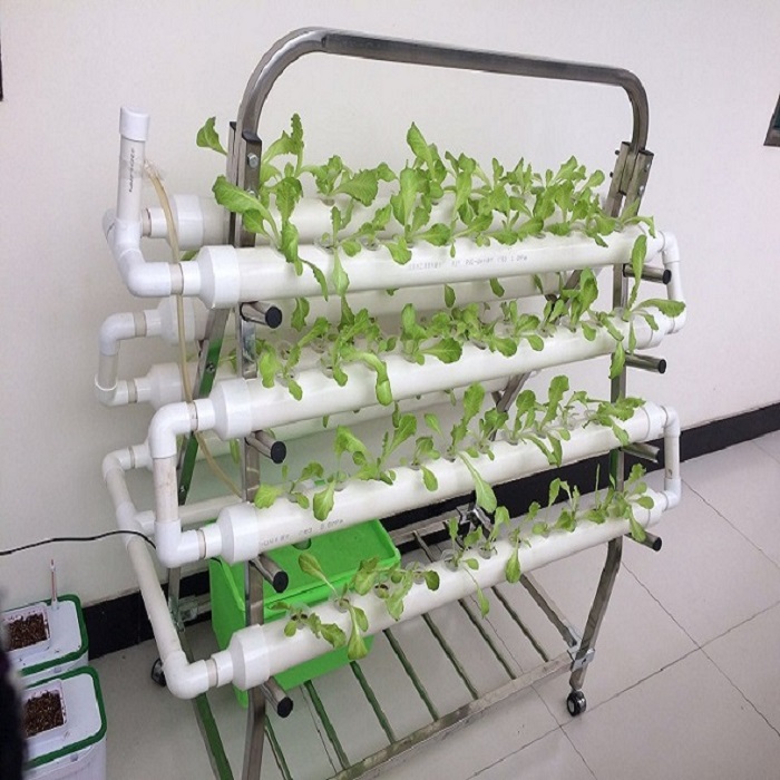 نظام النمو الداخلي NFT NFT Hydroponic