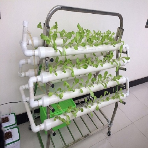 NTF Indoor Hydroponic System for Garden