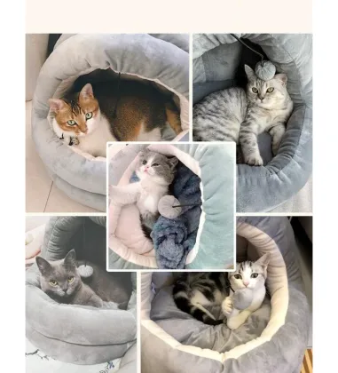 Processing custom four seasons dog bed