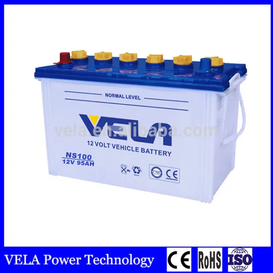Japan Standards NS100 Dry Charged Lead Acid Car Battery For Car Starting