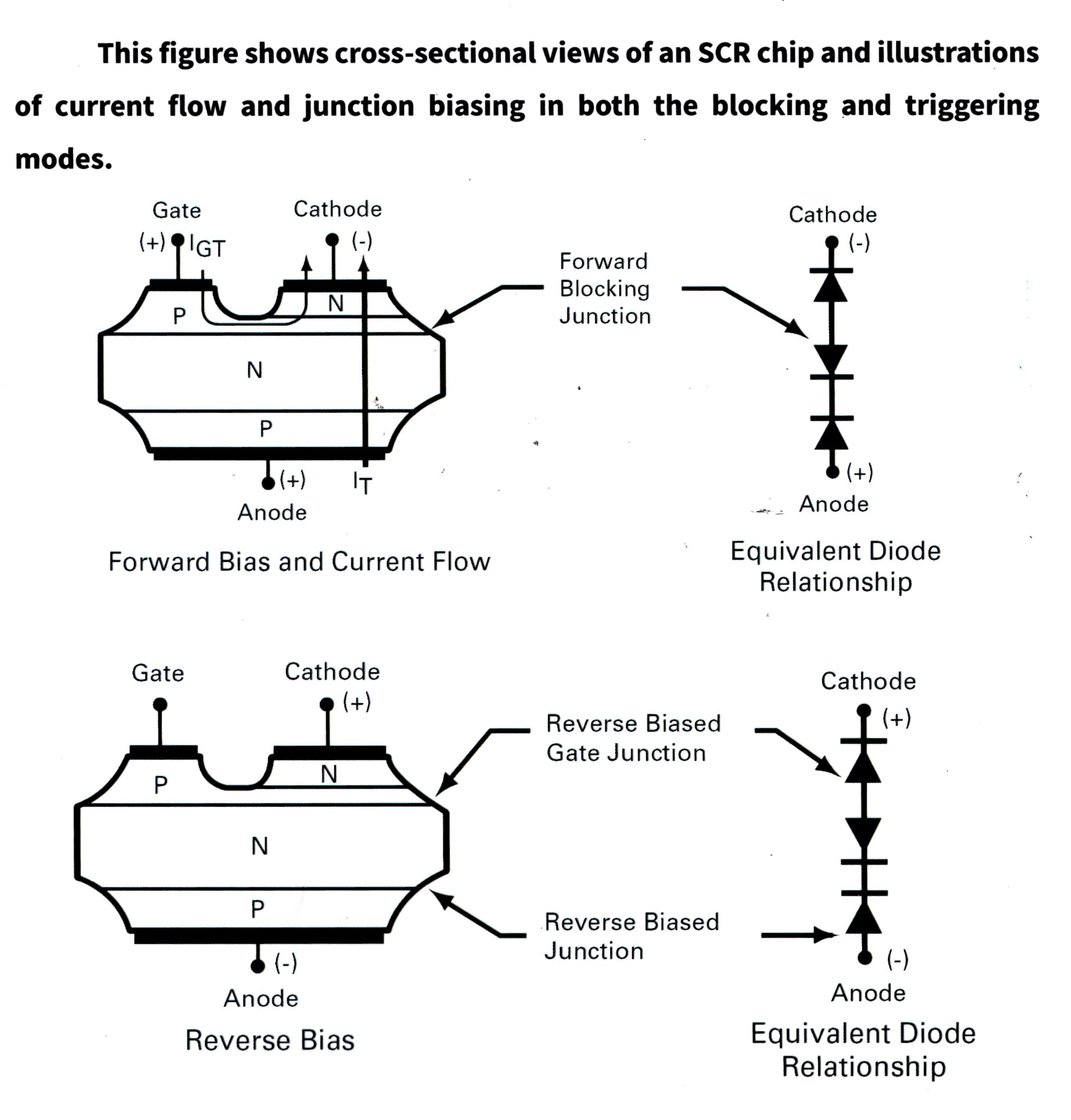 QA-SCR-2