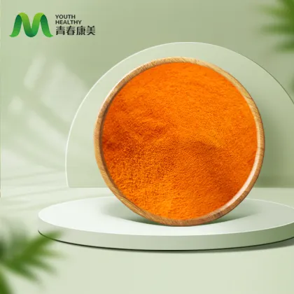 Turmeric Curcumin 95% Extract Powder Competitive Price