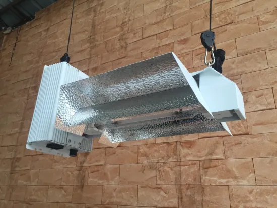 gavita style double end light/with control function/Open style reflector