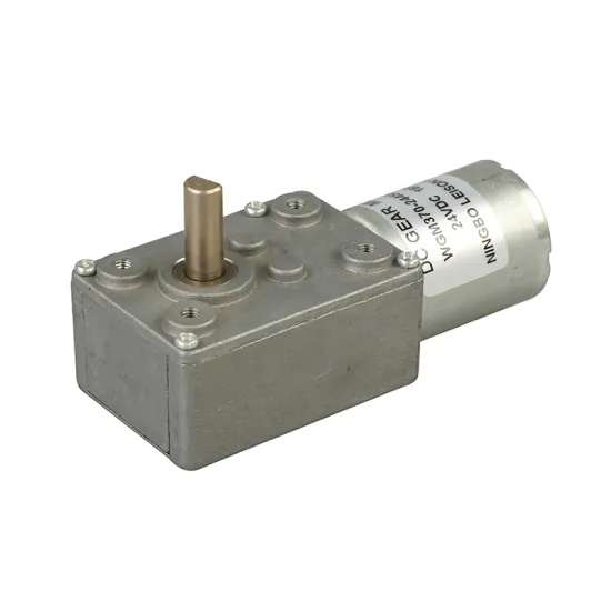 WGM370 Low Speed Micro DC Gear Motor for Automatic Doors