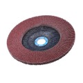 Professional Grade Flap Disc Assortment