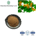Golden Flower Tea Powder: Rich Antioxidants for Daily Use