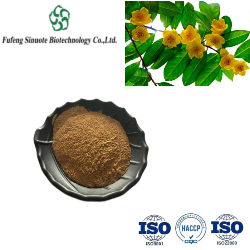 Golden Flower Tea Powder: Rich Antioxidants for Daily Use