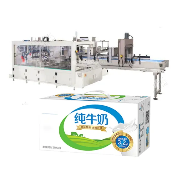 Carton Box Packer Machine for Case Packing
