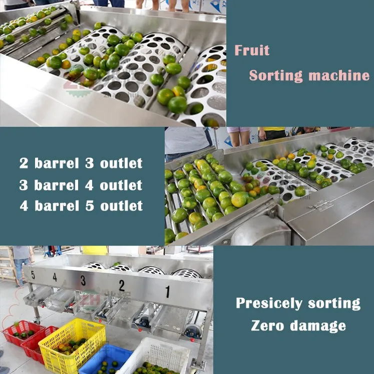 machine sorting fruit