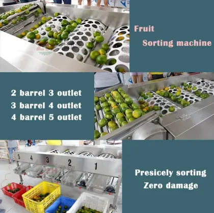 Automatic Onion Grader Machine Apple Grading Machine