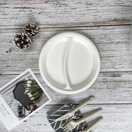 Biodegradable compartment plates disposable bagasse plates