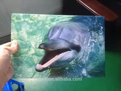 3d a2 printer	, 3d color printer, 3d flatbed printer