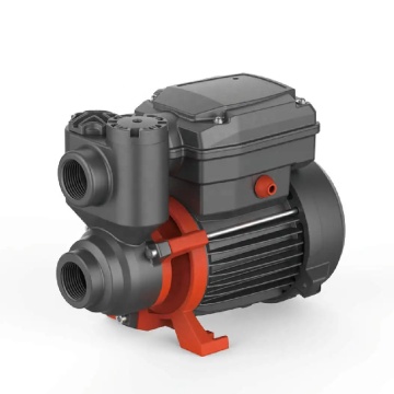 Leo Water PQ50E-Serie Automatische selbstprimierende periphere Pumpe