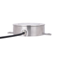 IP68 Stainless Steel RGB Outdoor Garden LED Swimming