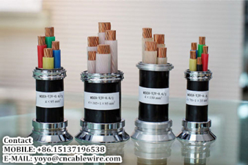 Power cable