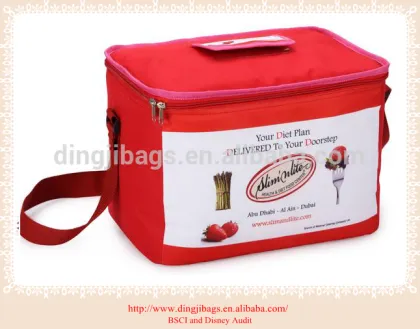 Brand names Insulated cooler tote bag