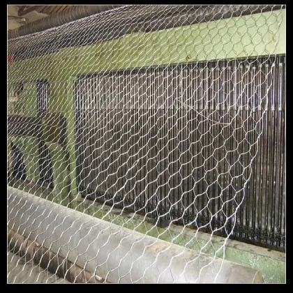 Galvanized Lobster Trap Hexagonal Wire Mesh