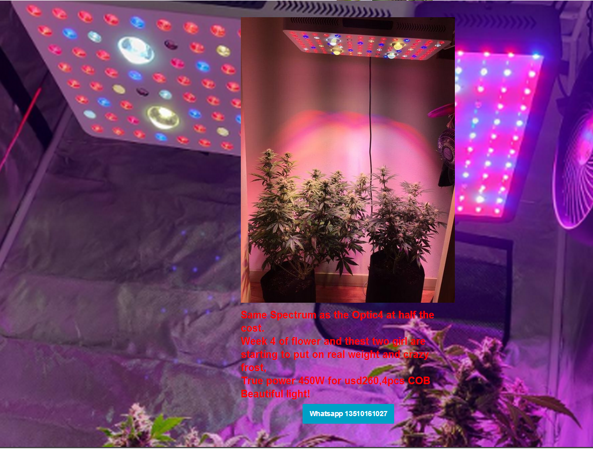 Phlizon COB Series 1000W LED Plant Grow Light