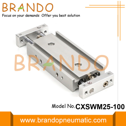 Двухстержневой пневматический цилиндр типа SMC CXSWM25-100