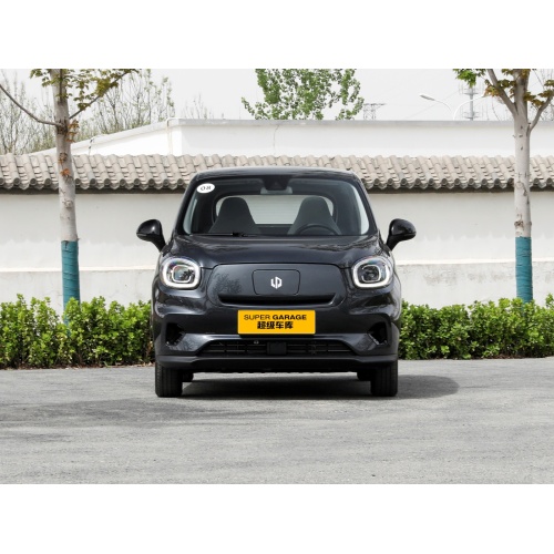 Mașină nouă 2023: Lingpao T03 Pure Electric Micro Car Adult