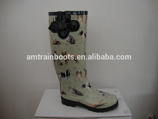 Women hidden heel boots