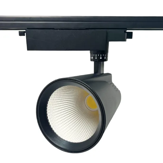 Ultra Slim AC160-265V Modern Adjustable Smart Track Light
