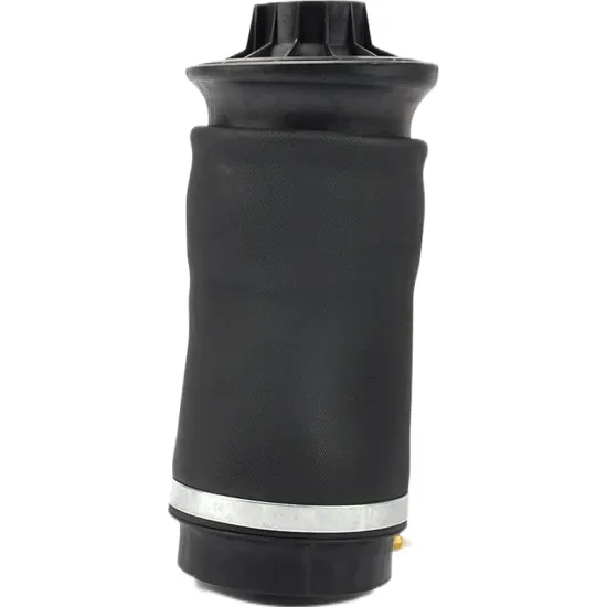 Rear Air Suspension Spring for Mercedes-Benz W164 M-Class