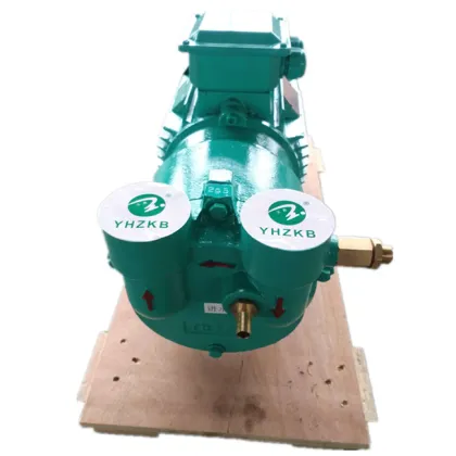 Kenflo Liquid Ring Vacuum Pump: Similar Models and Options
