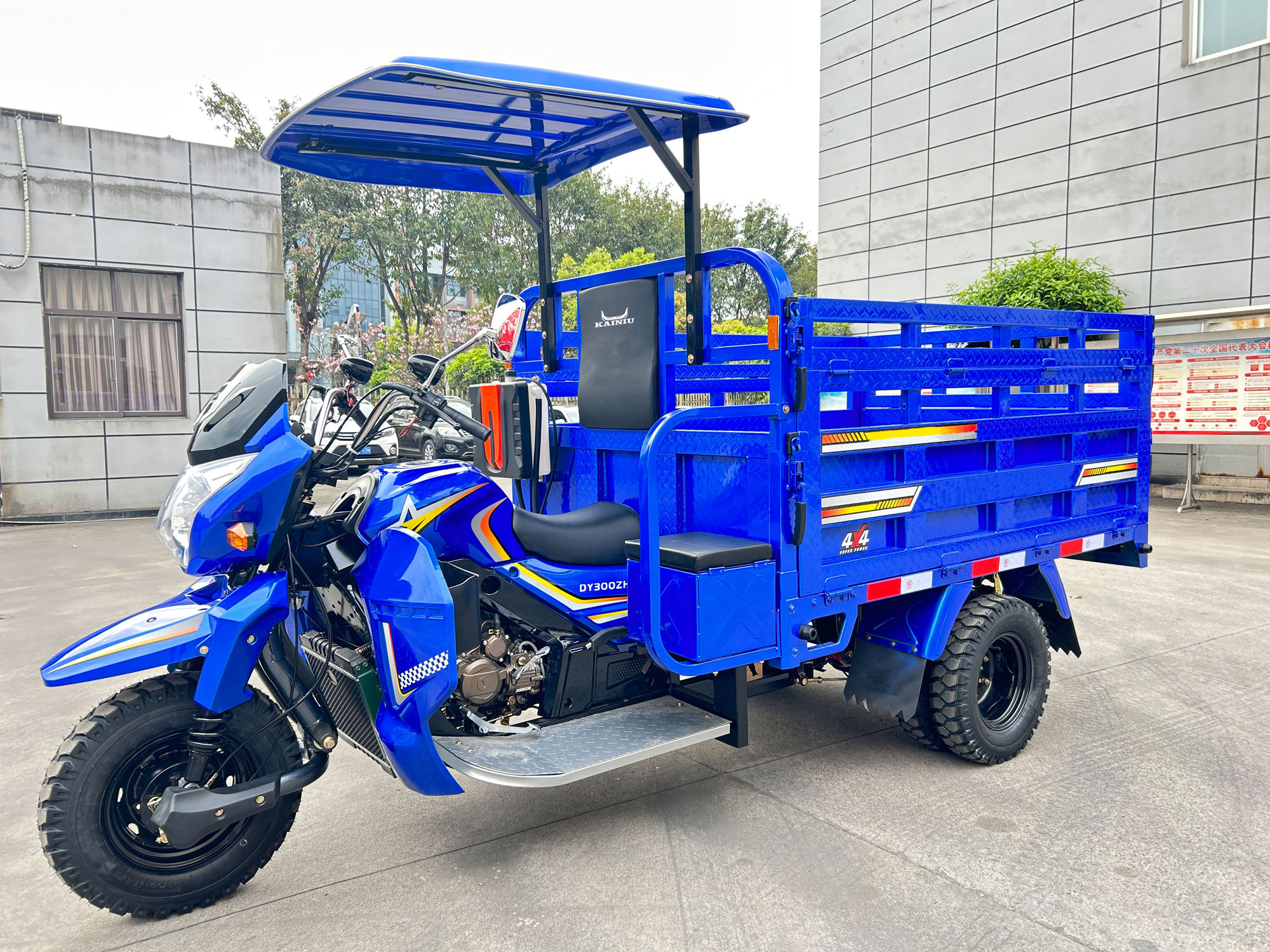 70 Ruiteng con triciclo de techo