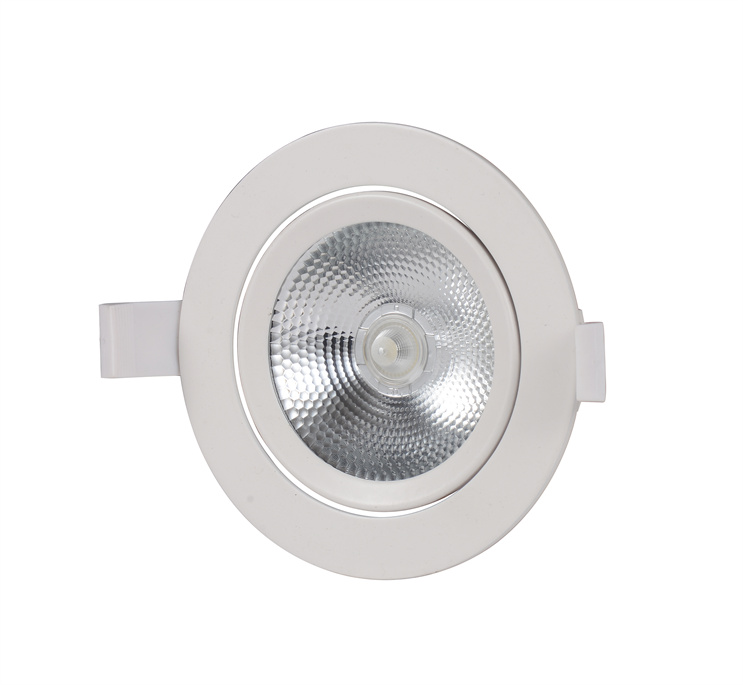 Led Cob Down Light 6 Jpg