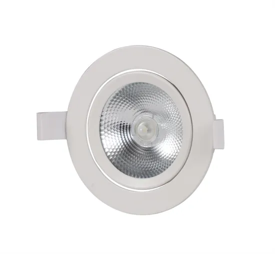 Compact LED COB Down Lights for Indoor