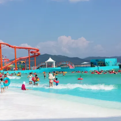 Swimming pool wave machine tsunami pool