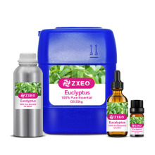 Eucalyptus Essential Oil Wholesale bulk prices Top Grade 100 % Natural pure Organic Aromatherapy Beauty Spa 10ml OEM/ODM
