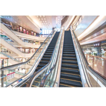  Cheap Commercial Escalators for Shopping Centers: Indoor and Outdoor Options 