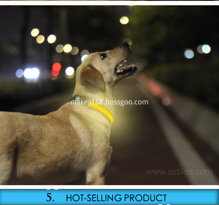 New Design Led Dog Collar