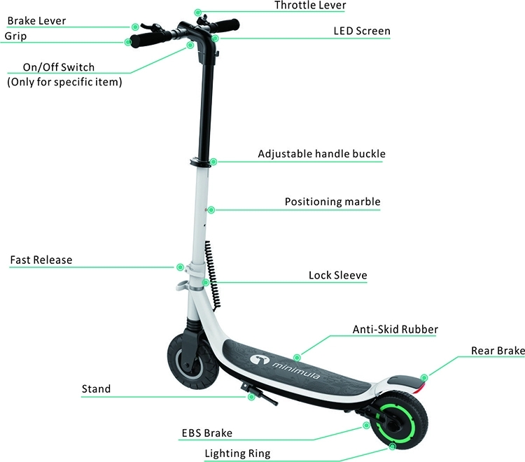 Electric Scooter Mobility