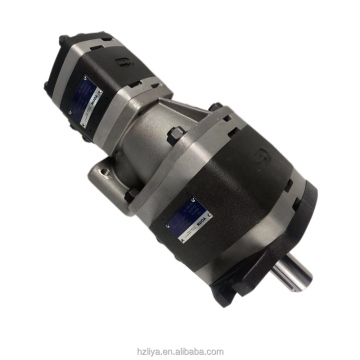 Cast Iron CE/ISO9001 Certified IPs: IPV-7-125-101, IPV-7-160-101, IPV-7-200-101, IPV-7-250-101