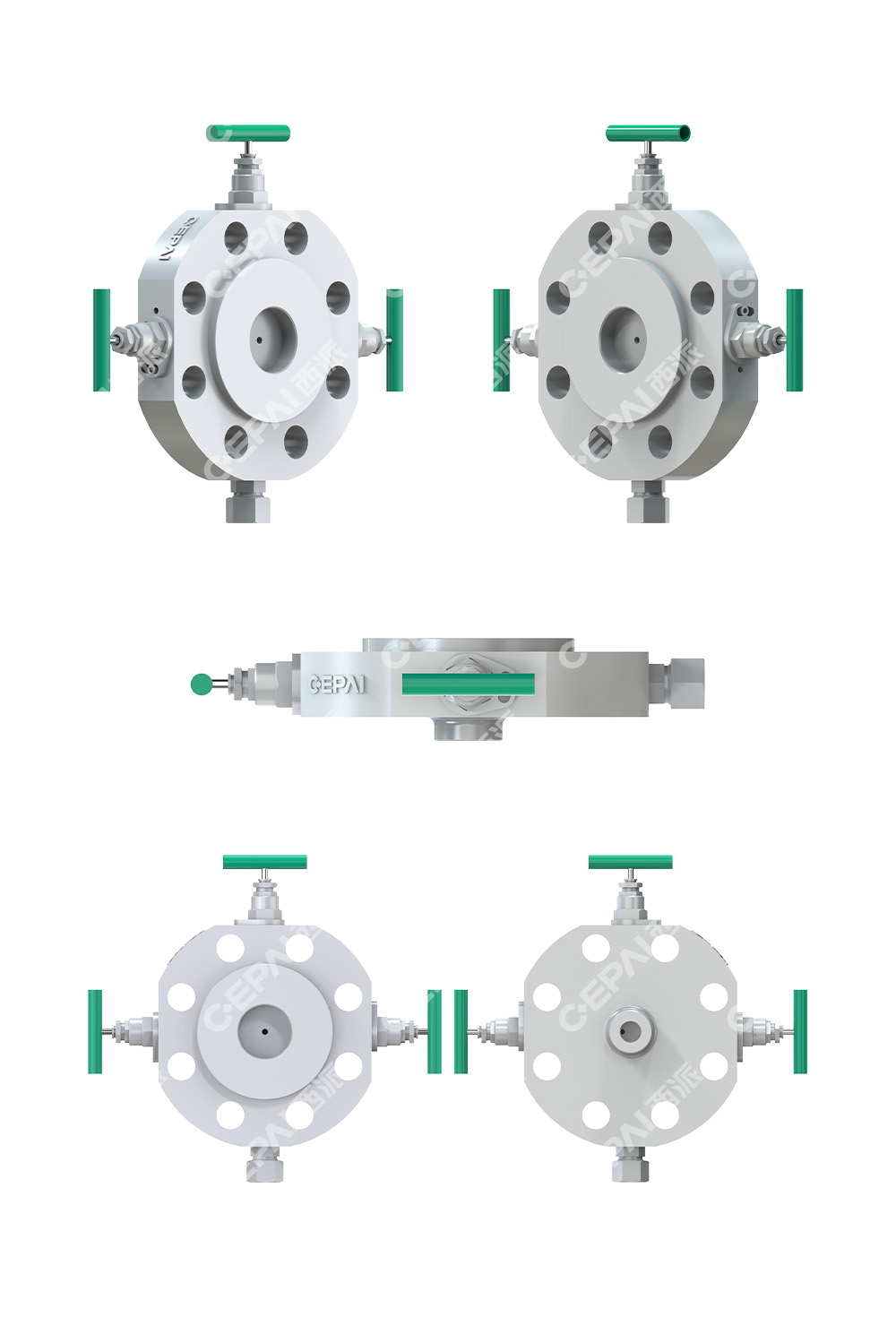 DBB MONOFLANGE Needle Valve1