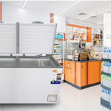 Dual-Purpose Commercial Energy-Saving Refrigerator