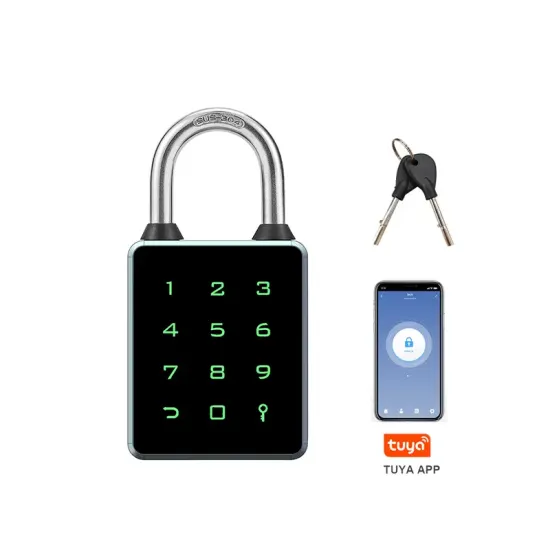 Blue Tooth Access Keyed RFID Card Password Padlock