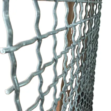 Low Price Stainless Steel Screen Mesh 40 Micron 304 316 316L Crimped Wire Mesh
