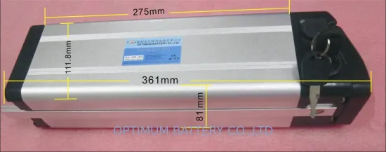 Electric Bike Lithium Batteries 24v 10ah With Matched Aluminum Case And Pcb