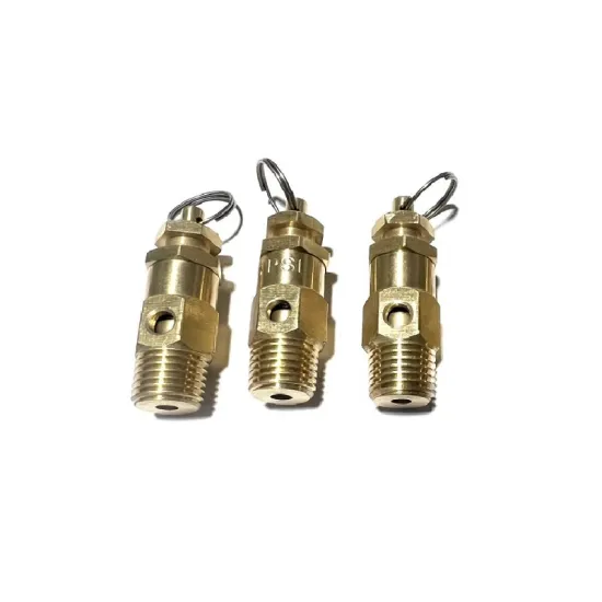 Brass 1/4in NPT thread 25PSI Air vent release valve brass automatic valve