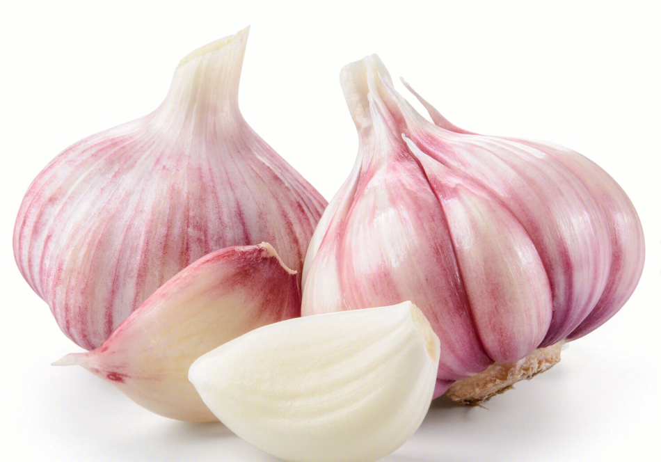 garlic