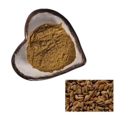 Factory Suppy High Quality Rice bran extract powder/Oryza Sativa Bran Extract