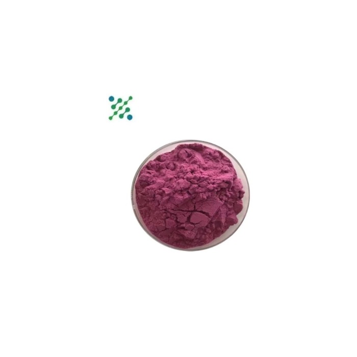 Organic Red Beet Extract Powder