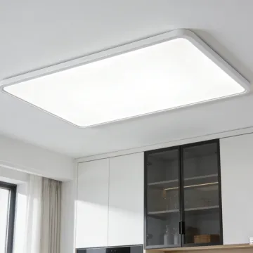 Ceiling-mounted LED ambient light